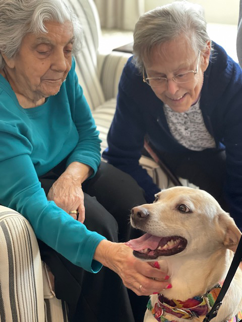 Two memory care residents bonding with a therapy dog on a comfortable couch.