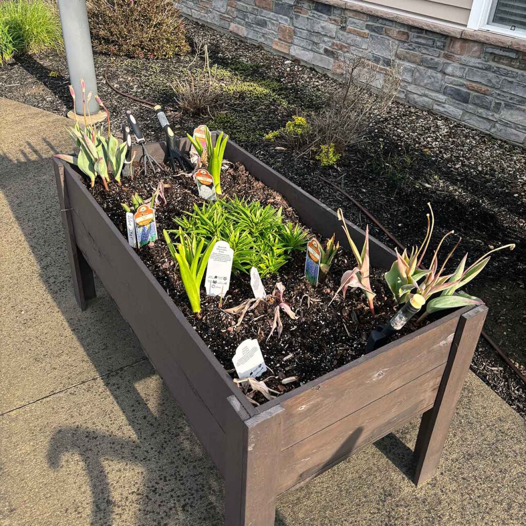 A raised rectangular wooden planter filled with various plants.
