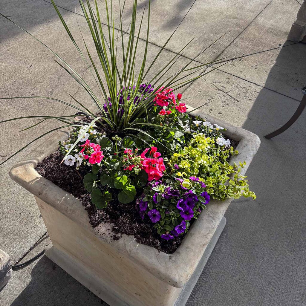 A large square planter filled with flowers and ornamental grass.